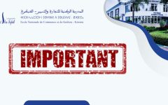 WhatsApp Image 2025-11-11 at 11.16.10